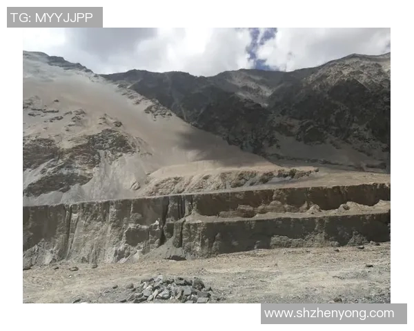 深度探讨吴芳在和平精英中的成长与挑战之路
